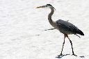 Example content image: left-align